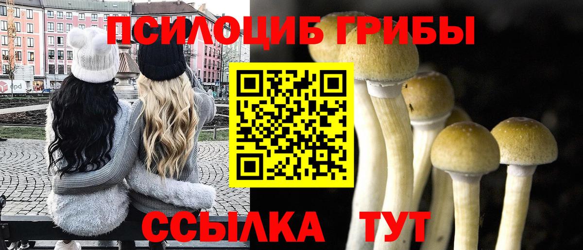 Галлюциногенные грибы Psilocybine cubensis  Вход с VPN  Галлюциногенные грибы GOLDEN TEACHER  Кореновск 