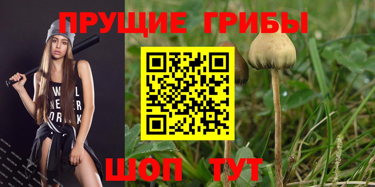 Галлюциногенные грибы прущие грибы Кореновск